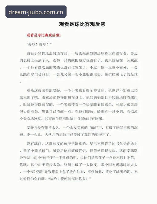 资深用户分享：世界杯观赛签证危机下的真实体验与九博体育平台观赛心得